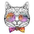 Hand drawn portrait of Cat in glasses with bow tie. Vector illustration isolated on white Royalty Free Stock Photo