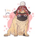 Hand drawn portrait of Christmas pug dog Vector. Royalty Free Stock Photo