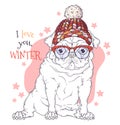 Hand drawn portrait of Christmas pug dog Vector. Royalty Free Stock Photo