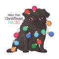 Hand drawn portrait of Christmas pug dog Vector. Royalty Free Stock Photo