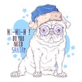 Hand drawn portrait of Christmas pug dog Vector. Royalty Free Stock Photo