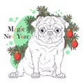 Hand drawn portrait of Christmas pug dog Vector. Royalty Free Stock Photo