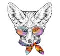 Hand drawn portrait of cute Fennec Fox in glasses and with bow tie. Vector illustration isolated on white Royalty Free Stock Photo