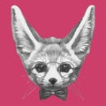 Hand drawn portrait of Fennec Fox with glasses and bow tie.