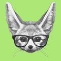 Hand drawn portrait of Fennec Fox with glasses.