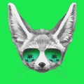 Hand drawn portrait of Fennec Fox with mirror sunglasses.