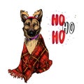 Hand drawn portrait of german shepherd dog wearing deer horn hat and plaid blanket. Vector Christmas poster. Xmas