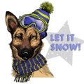 Hand drawn portrait of german shepherd dog wearing hat, goggles and scarf. Vector Christmas illustration. Colored puppy