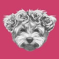 Hand drawn portrait of Maltese Poodle with floral head wreath.