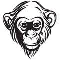Hand drawn portrait of monkey chimpanzee. Black and white