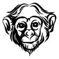 Hand drawn portrait of monkey chimpanzee. Black and white