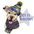 Hand drawn portrait of pit bull terrier dog wearing hat, goggles and scarf. Vector Christmas illustration. Colored puppy