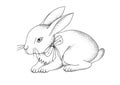 Hand-drawn portrait of rabbit. Easter bunny. Vector illustration Royalty Free Stock Photo