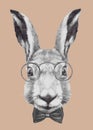 Hand drawn portrait of Rabbit with glasses and bow tie. Royalty Free Stock Photo