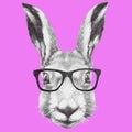 Hand drawn portrait of rabbit with glasses. Royalty Free Stock Photo