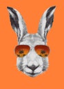 Hand drawn portrait of Rabbit with mirror sunglasses. Vector elements Royalty Free Stock Photo