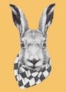 Hand drawn portrait of Rabbit with scarf. Royalty Free Stock Photo