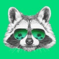 Hand drawn portrait of Raccoon with mirror sunglasses.