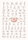 Iyengar hatha yoga poses levels 1-5