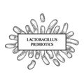 Hand drawn probiotic lactobacillus bacteria frame. Design for packaging and medical information. Vector illustration in sketch