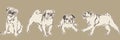 Hand drawn pug puppy dogs. Vector sketch seamless border, animal pets illustration Royalty Free Stock Photo