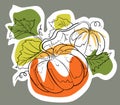 Hand drawn pumpkin on branch with green leaves and fruit color palette