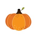 Hand drawn pumpkin isolated in white. Autumn vegetable in cartoon style Royalty Free Stock Photo