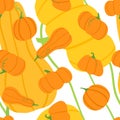 Hand drawn pumpkin seamless pattern. Cute autumn texture for thanksgiving, harvest and halloween. Floral background