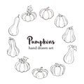 Line art pumpkins