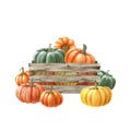 Hand drawn pumpkins in a wooden box. Watercolor painted illustration. Farm organic autumn harvest vegetables in a wooden