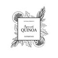Hand drawn quinoa frame. Vector illustration in sketch style