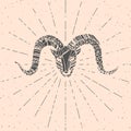 Hand drawn ram with pattern and sun rays. Vintage or hipster style.