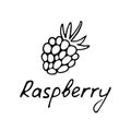 Hand drawn raspberry logo. Berry icon and raspberry inscription. Vector illustration