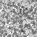 Hand drawn raspberry pattern