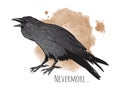 Hand drawn raven on sepia background vector illustration Royalty Free Stock Photo