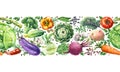 Watercolor Vegetables Horizontal Seamless Pattern