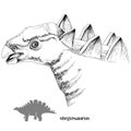 Hand drawn realistic dinosaurus Stegosaurus