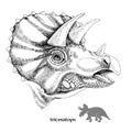 Hand drawn realistic dinosaurus Triceratops