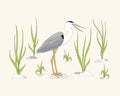 Heron among herb