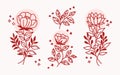 Hand drawn realistic spring botanical flowers, branch, and leaf logo element collection Royalty Free Stock Photo