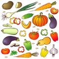 hand drawn realistic vegetables set isolated on white background. Tomato, pumpkin, pepper. colorful veggies icon collection.