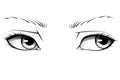 Hand drawn realistic woman eyes with detailed irises, eyebrows and lashes