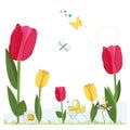 Hand drawn red, yellow realistic tulips with daisies and butterfly. Greeting card. Spring time banner background illustration Royalty Free Stock Photo