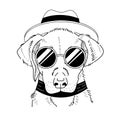 Hand drawn retriever wearing sunglasses and hat Royalty Free Stock Photo