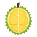 Hand Drawn Ripe Durian Animated Fruits Icon Clipart Vector Illustration