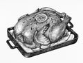 Hand drawn roasted turkey on baking tray