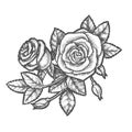 Hand Drawn Romantic Flower Or Vintage Rose