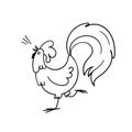 A hand-drawn rooster crows. Doodle rooster with a gorgeous tail stands on one leg with its head up and sings. Vector stock