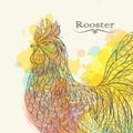 Hand drawn rooster