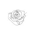 Hand drawn rose flower, one single continuous line drawing. Royalty Free Stock Photo